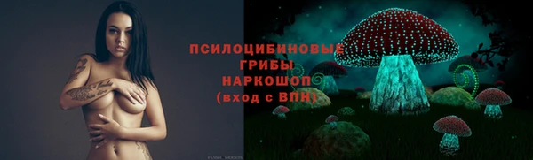 трава Медвежьегорск