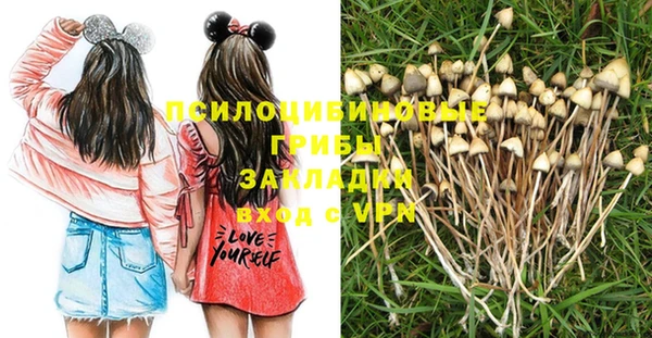 гидра Иннополис