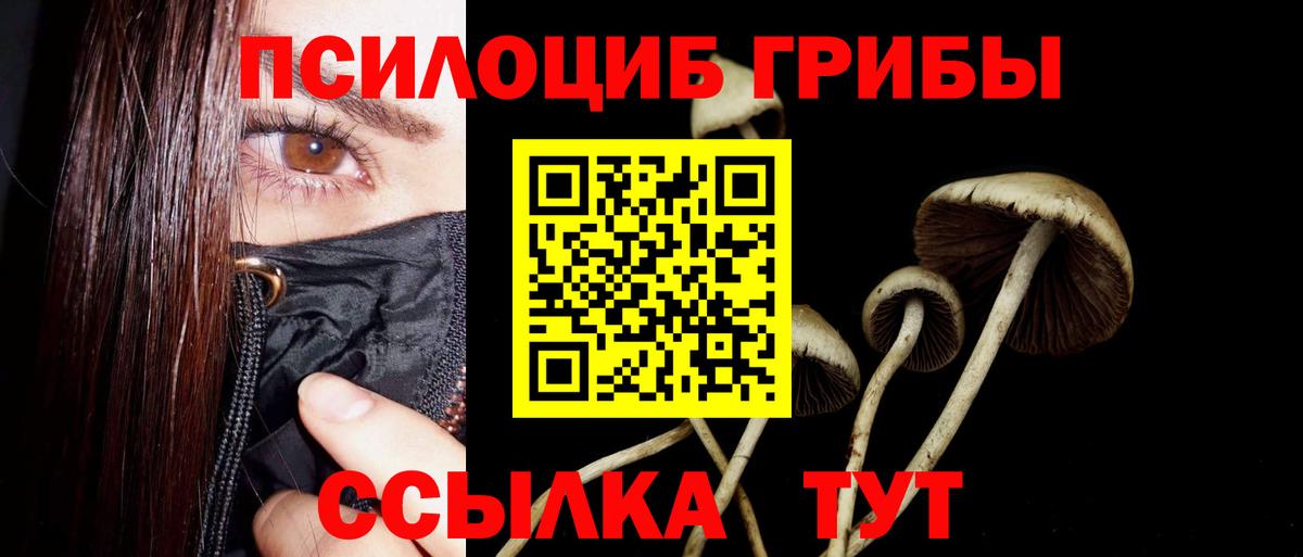Вятские Поляны  Галлюциногенные грибы Magic Shrooms  Вход с VPN 