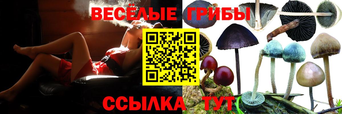 Галлюциногенные грибы MAGIC MUSHROOMS Вятские Поляны